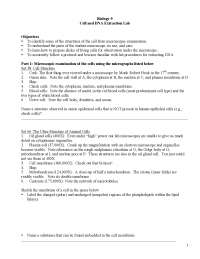 Cell and DNA Extraction Lab - Human Biology | BIO 9 - Docsity
