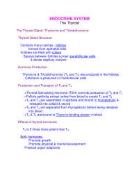 Lecture Notes on Endocrine Systems for Thyroid Glands | BIOS 355 - Docsity