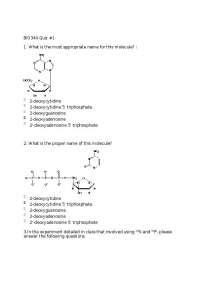 4 Questions with Solutions on Molecular Biology - Quiz 1 | BIO 344