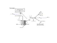 Polypeptide Translation Termination: Ribosome, tRNA, and Factors - Prof. David L. Herrin
