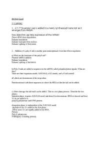 BIO344 Quiz 8: Post-Transcriptional Modifications and RNA Splicing - Prof. David L. Herrin