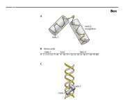 Regulation of Gene Expression in Microbial Genetics | BIO 366