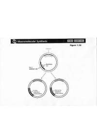 Lecture Notes on Macromolecular Synthesis | BIO 366