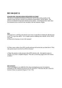 Eukaryotic Translation Initiation Factors - Molecular Biology | BIO 344