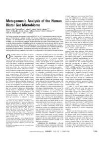 Human Gut Microbiome: Genomic Analysis of Archaea and Bacteria Abundance and Metabolism