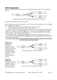 DNA Replication - Molecular Biology | BIO 344