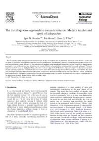 The Travelling Wave Approach to Asexual Evolution - Lecture Notes | N S 0