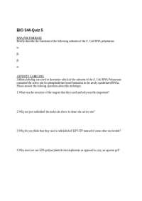 Quiz 5, RNA Polymerase, Affinity Labeling - Molecular Biology | BIO 344