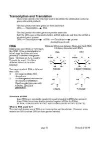 Transcription and Translation - Lecture Notes | BIO 344