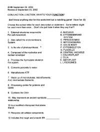 Conjunction Junction, What's Your Function - Review Sheet | BIO 1101 ...