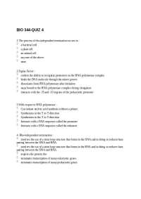 Quiz 4, Elongation, Binding - Molecular Biology | BIO 344