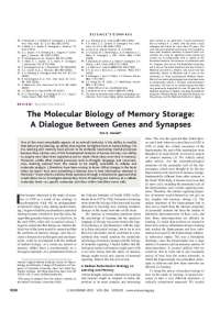 The Role of PKA in Memory Storage: A Journey from Aplysia to Explicit Memories in Mammals