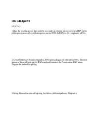 BIO 344- Quiz 9: Splicing in Molecular Biology
