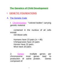 The Genetics of Child Development - Lecture Slides | PSY 333D - Docsity