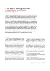 The Evolution of Transistor Technology: From Bell Labs to IC Fabrication
