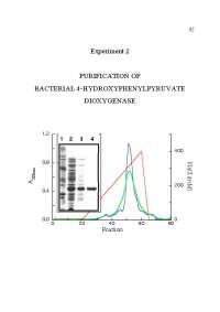 Purification of Bacterial 4-Hydroxyphenylpyruvate Dioxygenase | CHEM 603