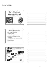 Early Hominids: Kenyanthropus and Australopithecus | ASM 104