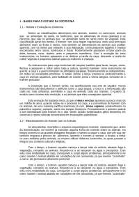 Sistema de Produção Animal