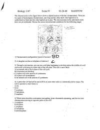Old Exam 4 with Solution Key - Principles of Biology I | BIOL 1107 ...