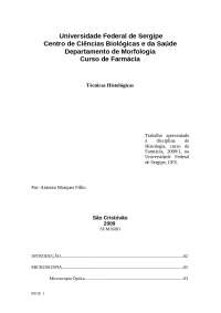Técnicas Histológicas