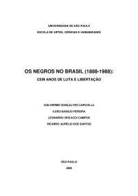 Os negros no brasil (1888-1988) : cem anos de luta e libertação