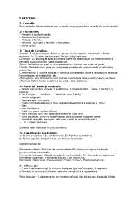 Curativos1- Conceito:São cuidados dispensad