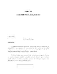 Apostila de Micologia