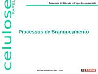 branqueamento de polpa celulósica