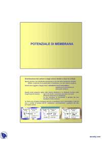 Fisiologia cellulare vegetale - Potenziale di membrana
