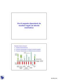 Fisiologia cellulare vegetale - Trascrizione