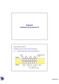 Fisiologia cellulare vegetale - Segnale mediato da proteine G