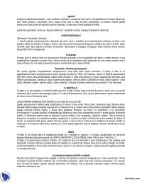 Comunità vegetali di fiumi: I gerbidi e i boschi golenali