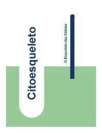 Citoesqueleto