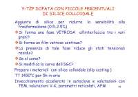 Ricerche su Y-TZP: Silice Colloidale e Transformazioni - Prof. Vitale Brovarone