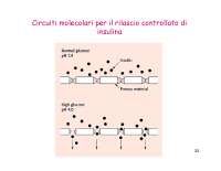 Biomateriali II - Rilascio dei farmaci - Parte 2