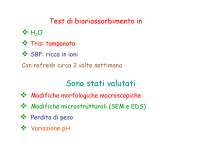 Test di bioriassorbimento: Modifiche morfologiche e microstrutturali di vetri in H2O e SBF