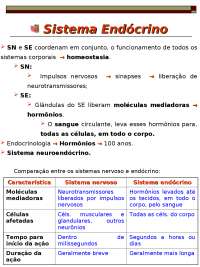Sistema Endócrino