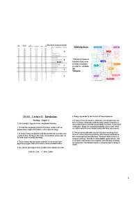 Understanding Metabolism: The Process of Energy Conversion in Living Organisms
