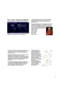 Phylogeny and Classification - Animal Biology - Lecture Slides | IB 104