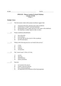 Anatomy of Cell - Multiple Choice Questions and Answers - Quiz 3 | SPMD 201