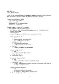 Lab #3: Radiate Animals - General Zoology | BSC 201