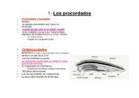 Tema1-FILOGÉNESIS-3ªparte - Apuntes de Biología - Docsity