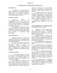 04 Sistema de Combustível