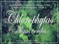 Apresentação Chlorophyta