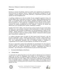 Formação e desenvolvimento dos solos