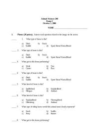 5 Questions on Confirmation Anatomy in Animal Science - Exam 1 | ANSC 206