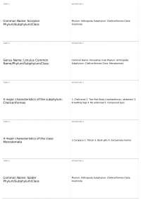 Arthropods and Annelids: Characteristics and Classification