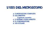 Microscopio ottico - Docsity
