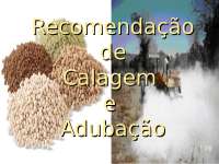 Calagem e adubação