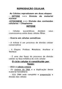 biologia.... mitose